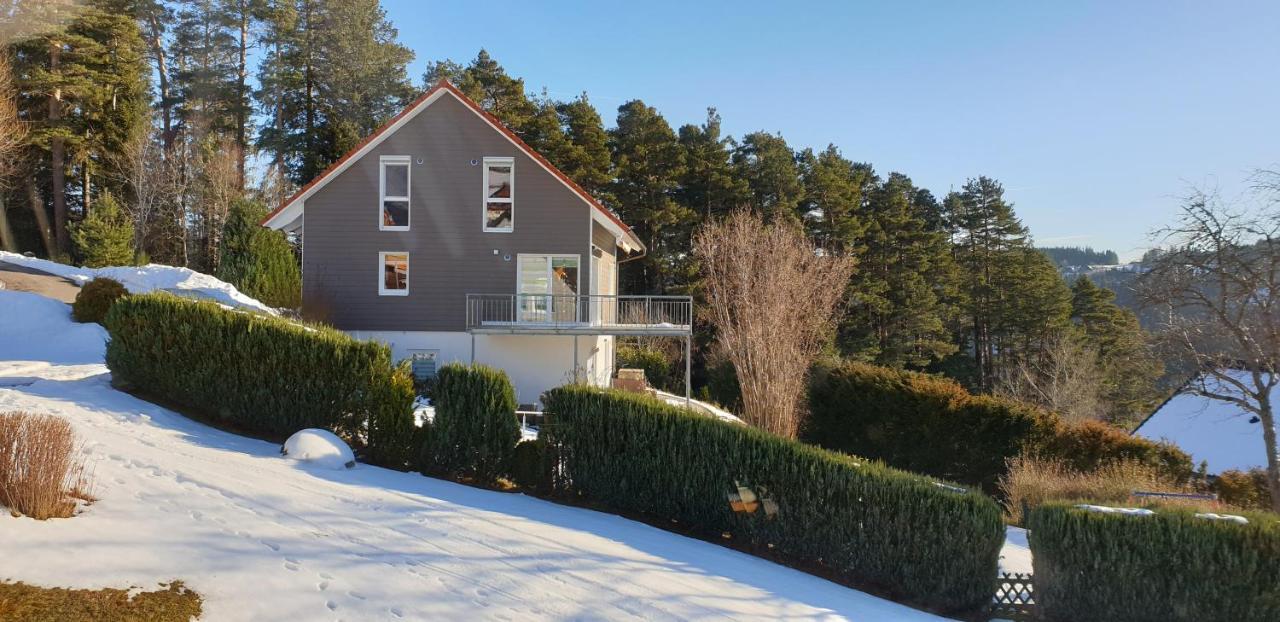 Sonneck Schonach Apartman Schonach im Schwarzwald Kültér fotó