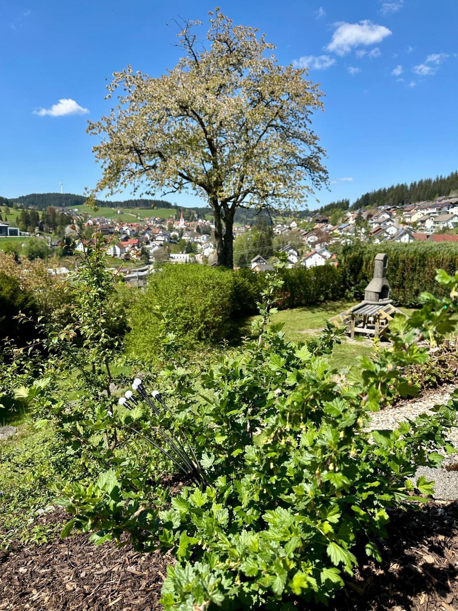 Sonneck Schonach Apartman Schonach im Schwarzwald Kültér fotó